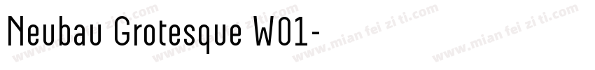Neubau Grotesque W01字体转换